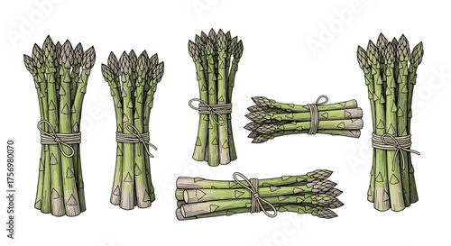 A collection of fresh green asparagus stalks tied with natural twine into bundles for a healthy seasonal harvest.