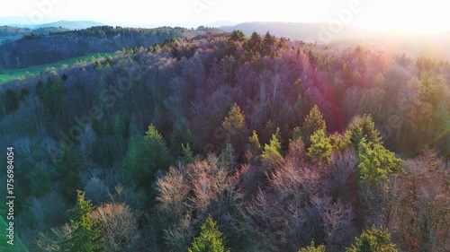 Mountains with dense forest in bright sunlight