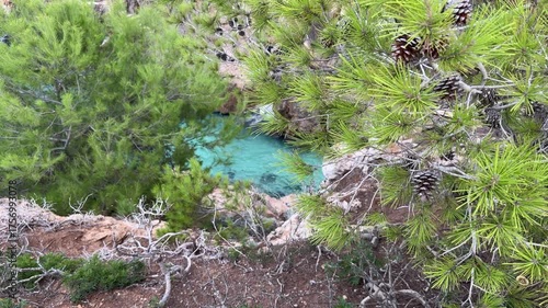 Beautiful hidden cove with turquoise water and pine trees