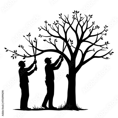 Silhouetted figures tending to tree branches professional gardeners pruning nature scene silhouette flat design vector illustration white background