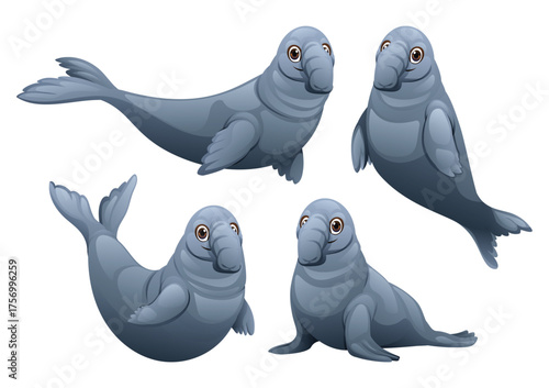 Set of elephant seal in different swimming and resting poses. Vector cartoon character illustration