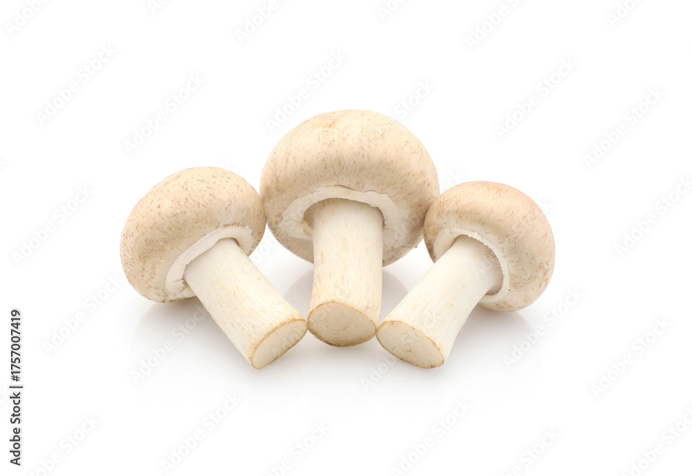 Fototapeta premium Champignon mushroom isolated on white background