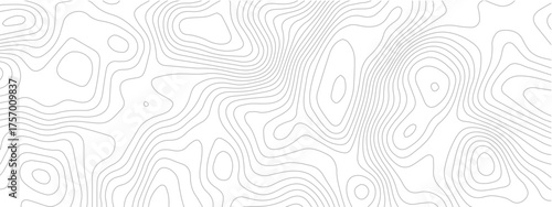 Topographic map seamless pattern contour lines on a white background vector illustration for geographic design