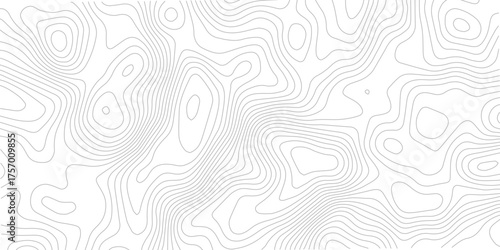 Topographic map lines background abstract contour map vector illustration for geography or cartography concepts