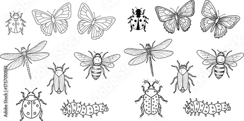 Insect illustration collection, ladybug butterfly dragonfly bee caterpillar drawings, hand drawn insects, entomology artwork, nature pattern, educational insect chart, vintage style
