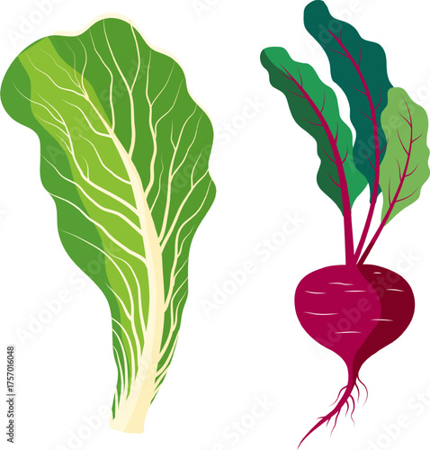 Green cabbage and beets.