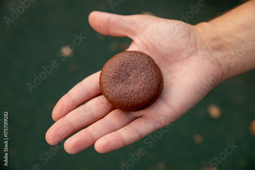 round sponge cake with chocolate in man hand, close up view. Airy sponge cake with delicate cream inside, covered in chocolate glaze. round chocolate cookie
