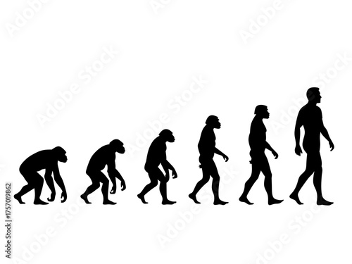 Human Evolution Stages Timeline Silhouette