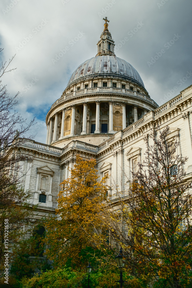 Fototapeta premium Colorful Leaves Of The Threes Under The St Paul Cathedral 