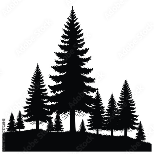 A striking black silhouette of coniferous trees against a bright background silhouette