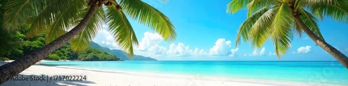 Sun-drenched beach scene with turquoise water, palm trees swaying gently in the breeze, and soft white sand Perfect for summer vacation themes , ocean, holiday, sun