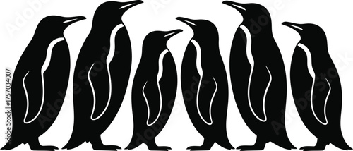 Penguin group waddling together in black and white, penguin, bird, group, wildlife, antarctic, animal, cute, sea, nature, cold, flock, ocean, black, white, illustration, standing, together, walking