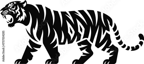 Powerful tiger prowling fiercely in black silhouette, tiger, animal, mammal, feline, predator, carnivore, wildlife, wild, nature, zoo, bengal, asia, striped, dangerous, strength, power, aggression