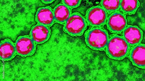 Zika virus microscopy animation biomedical research visualization