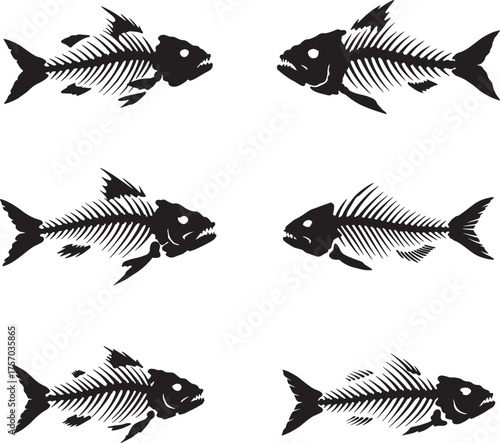 Collection of six detailed black and white fish skeletons arranged in a grid pattern