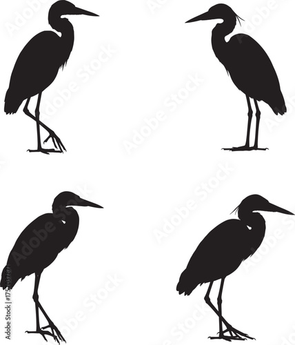 Four black silhouettes of herons standing on white background in different poses