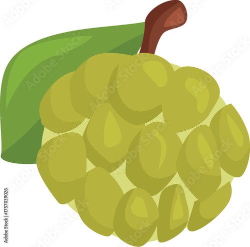 Ripe custard apple with green skin and leaf, ready to be enjoyed for its sweet, tropical flavor