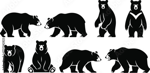 Stylized bear silhouettes, animal poses illustration, black wildlife icons, bear behavior study, standing and walking bears, sitting bear art, nature reference