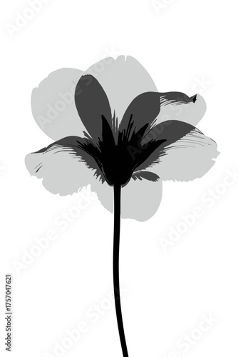 Vector art of monochrome xray of a flower for medical use