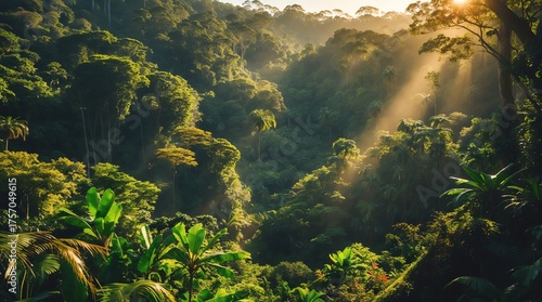Sunlit Canopy Majestic Rainforest Green Paradise Tropical Scene Lush