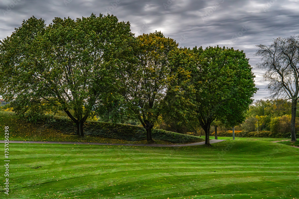 Fototapeta premium Autumn Landscapes with Trees and Clouds