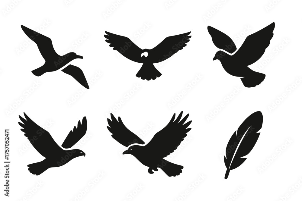 Obraz premium Silhouette collection of various birds and feather on white background
