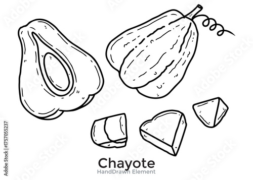 Detailed hand-drawn illustration of a chayote squash, whole, sliced, and diced, showing the fruit's form.