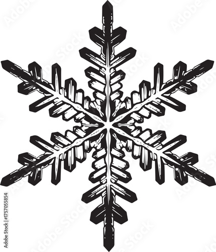 Detailed Black and White Snowflake Illustration winter
