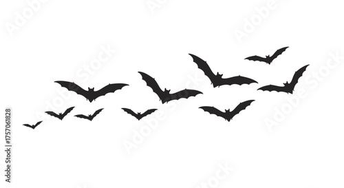 Silhouette flock of bats flying in formation halloween themed graphic element for spooky decorations and party invitations isolated on white background