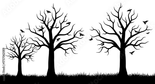 Silhouette of three bare autumn trees with sparse leaves and birds perched on branches against a white expanse symbolizing nature and change isolated on white background