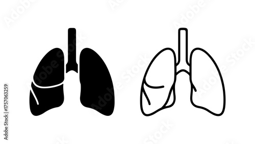 Human lungs outline and solid with transparent background