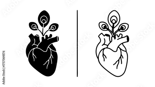 Anatomical heart with peacock feathers with transparent background