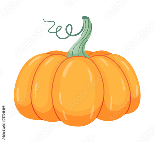 Autumn pumpkin. Hand drawn trendy flat style isolated on transparent background. for Halloween or Thanksgiving stickers, menus, apps, posters, design. Vector illustration