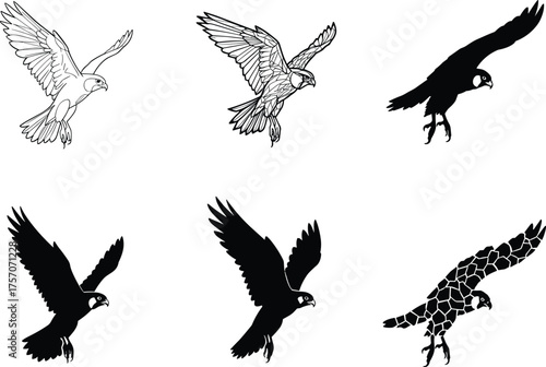 Falcon silhouette vector set, flying hawk illustrations, bird of prey in motion, wildlife graphic icons, raptor wings spread, hunting pose