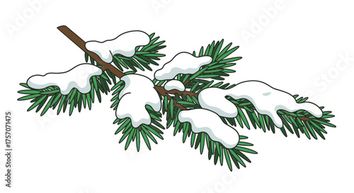 A charming, stylized illustration of an evergreen tree branch heavily dusted with white snow
