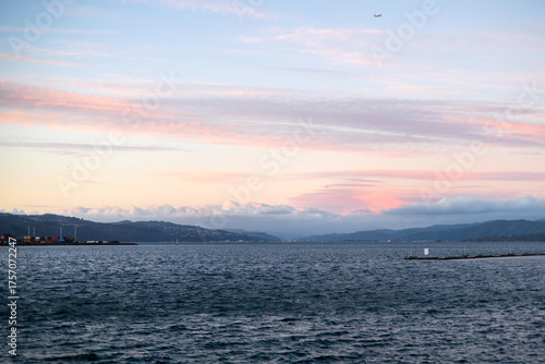 A tranquil view of the Wellington waterfront in New Zealand