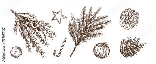 Hand drawn vintage sketch set of christmas pine branches cones bauble star candy and candle in monochrome style