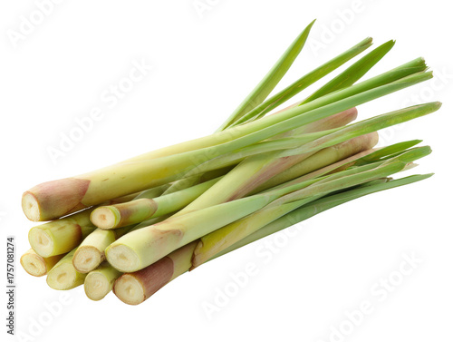 Fresh lemongrass stalks with pale green stems and aromatic leaves, arranged for cooking and herbal use
