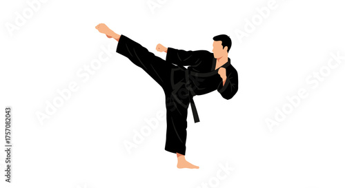 Martial arts master performing high side kick demonstrating discipline strength agility and karate taekwondo kung fu combat training isolated on white background