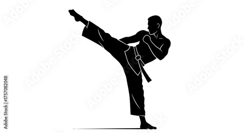 Martial arts silhouette of athlete performing a dynamic high kick dynamic martial arts movement silhouette athlete performing a powerful high kick in studio lighting isolated on white background