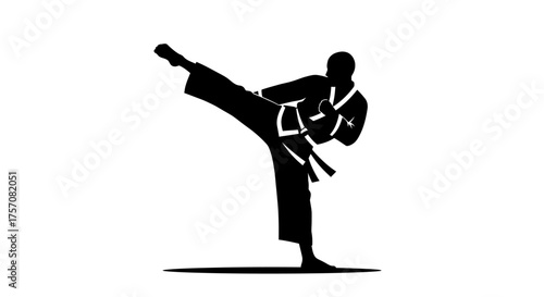 Martial arts silhouette of a karate fighter performing a dynamic high kick showing strength discipline and athleticism in combat training isolated on white background