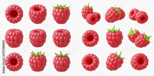 A collection of raspberry illustrations, showcasing various angles and arrangements of the fruit.