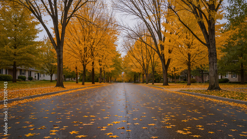 A peaceful street lined with tall autumn trees in golden yellow foliage, with fallen leaves scattered across the empty road on a calm, cloudy day.	