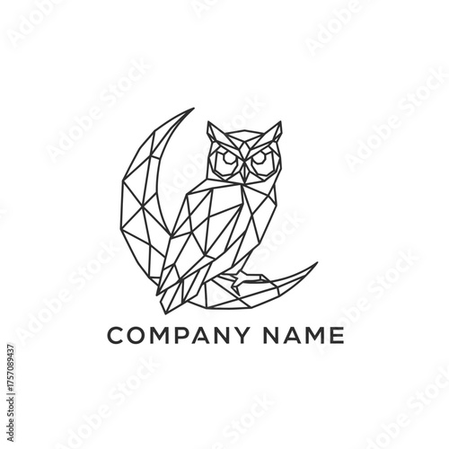 Geometric Owl Perched on Crescent Moon Logo Design in Black and White.