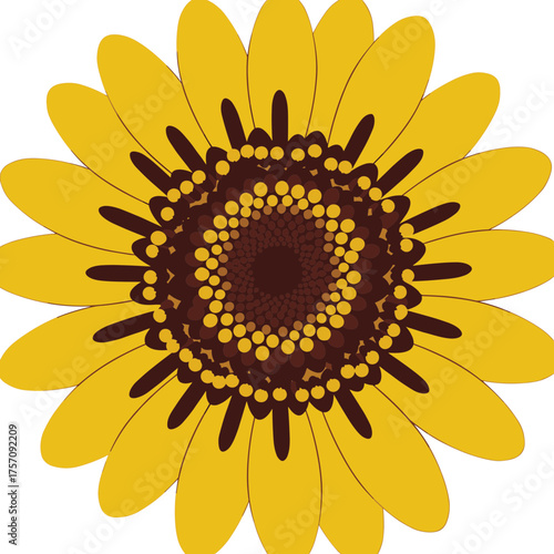 Bright Yellow Sunflower Vector Illustration with Detailed Center
