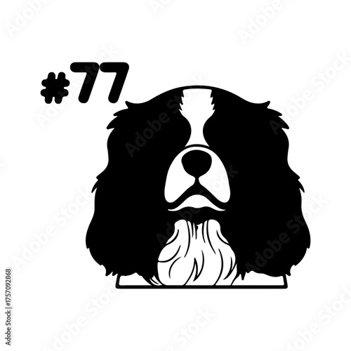 Cavalier king charles spaniel with transparent background
