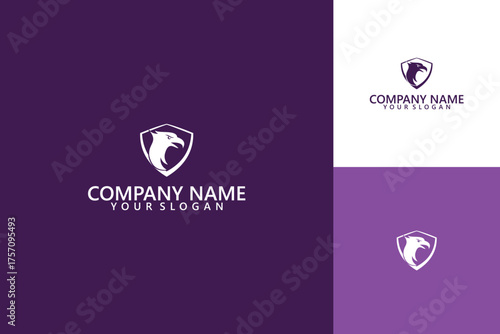Eagle Head Shield Logo Design for Security or Sports Teams.