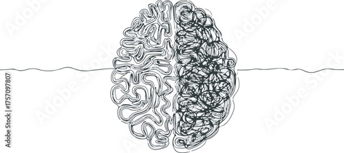 Human brain divided into complex scribble and structured lines illustrating duality concept