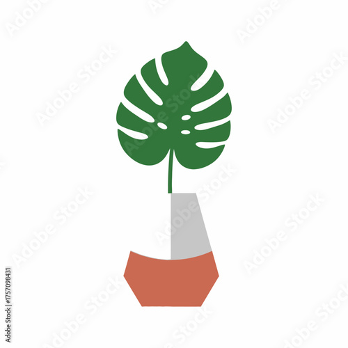 Monstera Plant in a Vase - A Minimalist Indoor Decor Illustration.