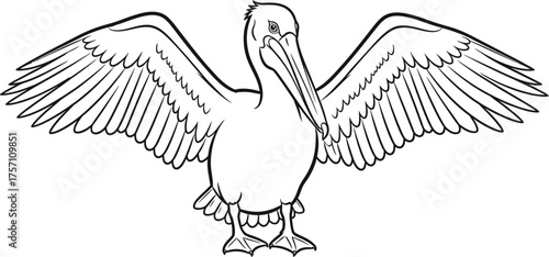 Majestic pelican soars with wings spread wide in this line art design, perfect for coloring books, educational resources, and creative projects